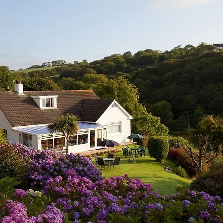 Mellieha Guest House Narberth Buitenkant foto
