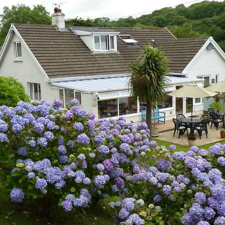 Mellieha Guest House Narberth Buitenkant foto