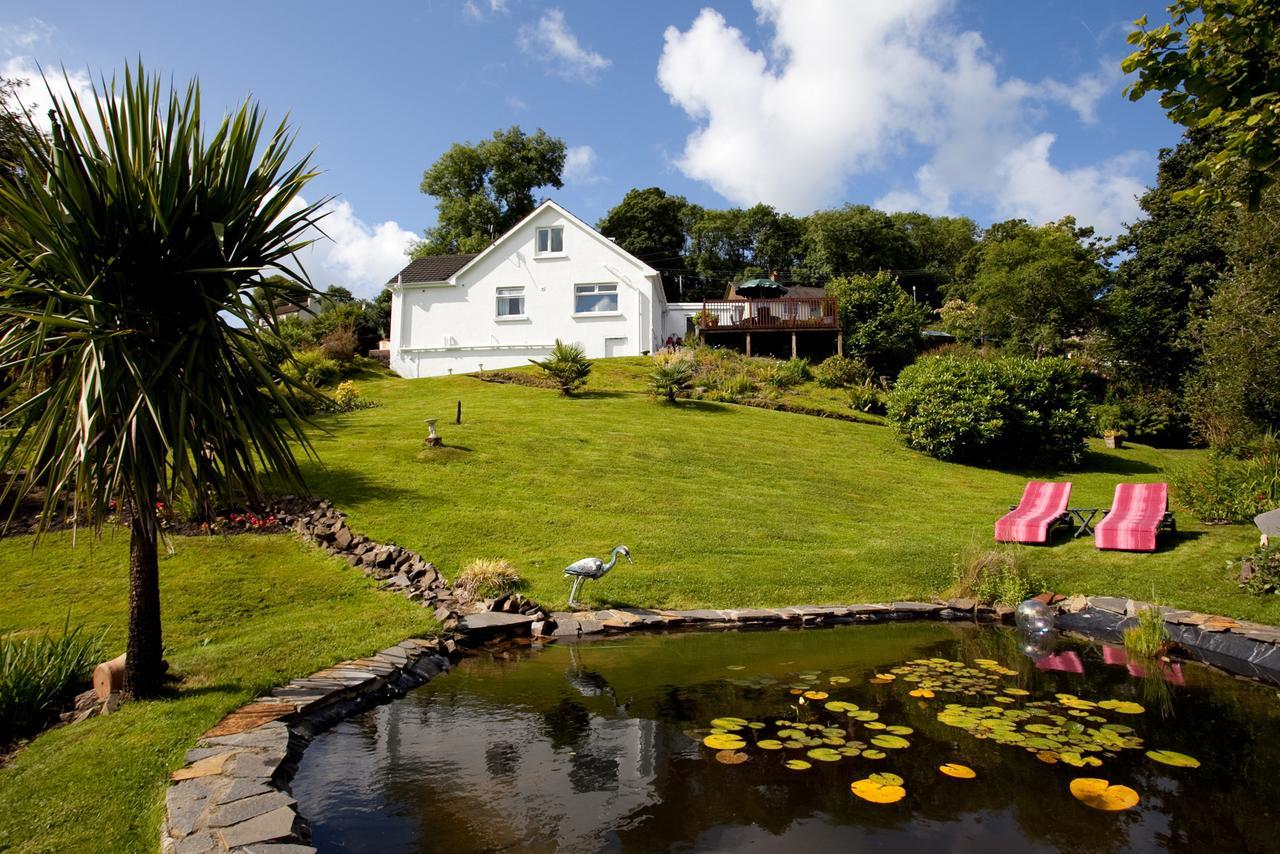 Mellieha Guest House Narberth Buitenkant foto