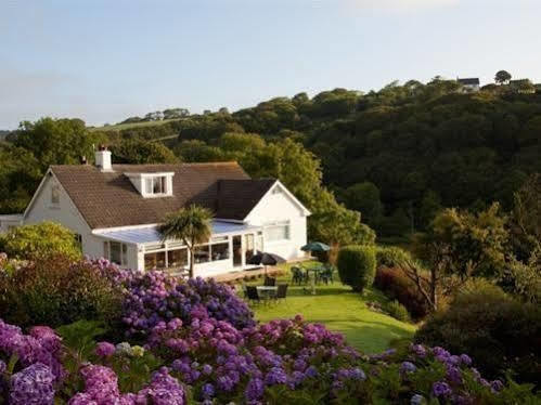 Mellieha Guest House Narberth Buitenkant foto